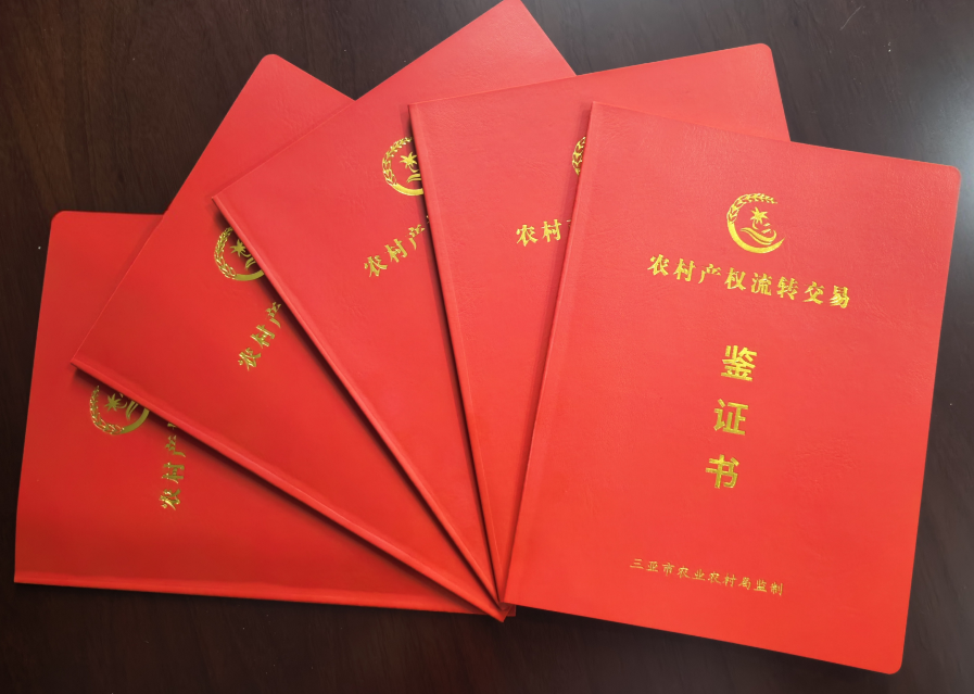 三亞南繁科研用地流轉鑒證助力農民增收與科研